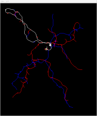 contorted solutions with L2