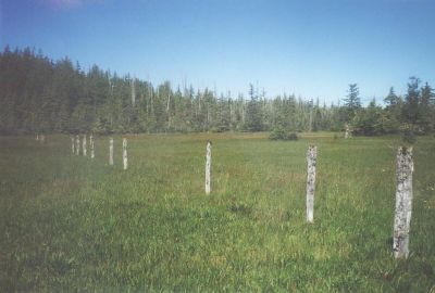 HansenLagoon2.jpg (65547 bytes)