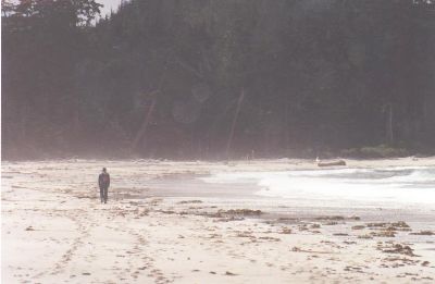 LoneTraveller.jpg (48833 bytes)