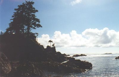 RockyCoast.jpg (43071 bytes)