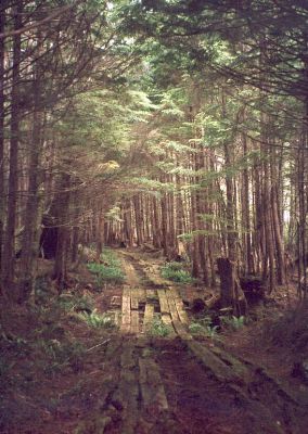 armytrail_lo.jpg (92426 bytes)