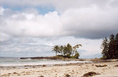 experimentbay_lo.jpg (62397 bytes)