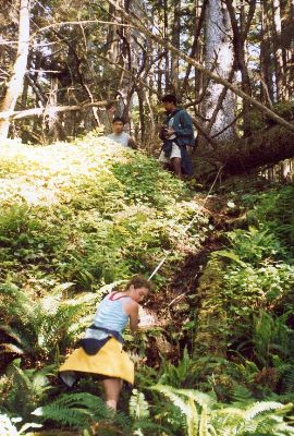 repeldowntocape_lo.jpg (131348 bytes)