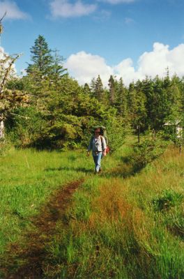 trailwalk.jpg (347596 bytes)